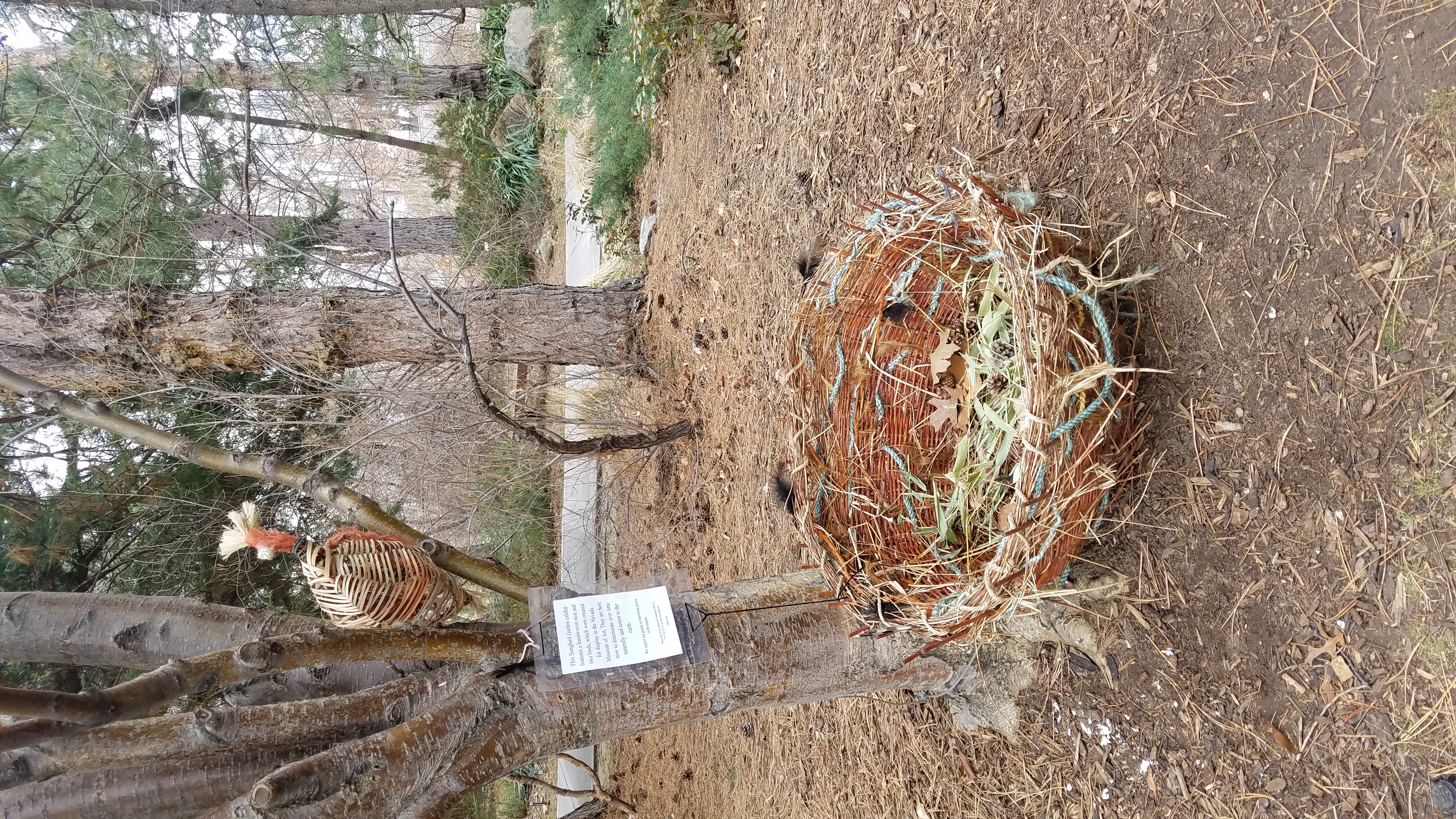 A handwoven nest and bird on display in Songbird Garden